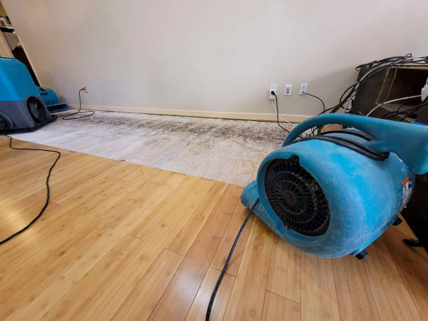 Professional Flood Damage Cleanup technician working in Ocean Park, ME